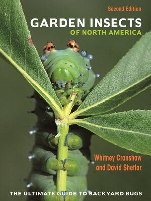 cover image of Garden Insects of North America